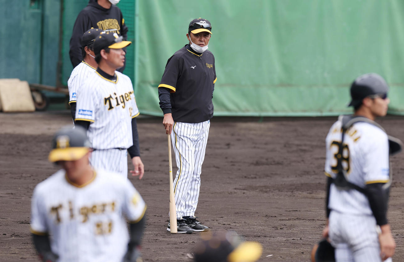 総合ノックを見つめる阪神岡田監督（中央）（撮影・前田充）