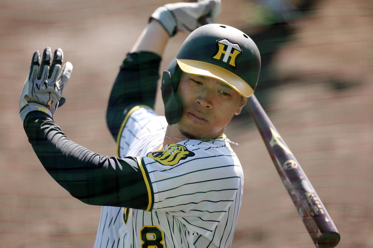 打撃練習する阪神佐藤輝（撮影・前田充）