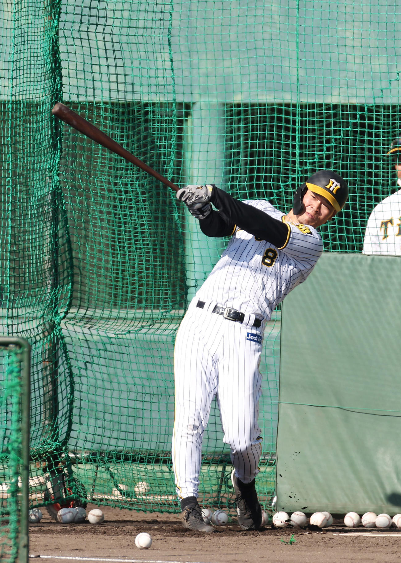秋季キャンプ最終日、フリー打撃を行う阪神佐藤輝（撮影・前田充）