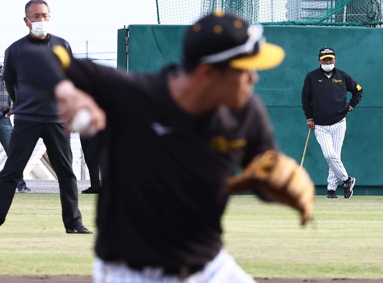 2022年11月19日、三塁ノックを受ける佐藤輝を外野から見守る岡田監督