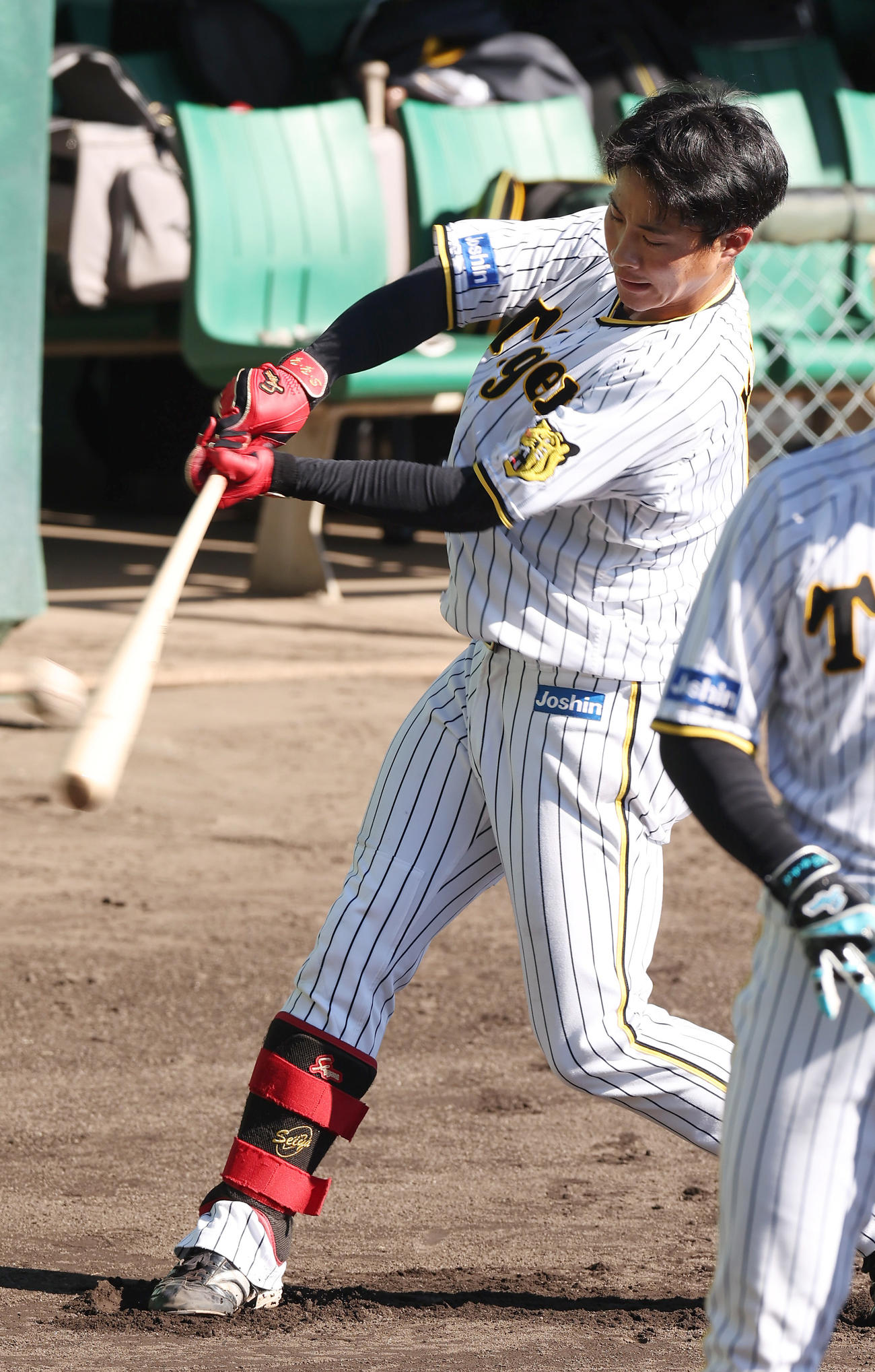 打撃練習する阪神木浪（撮影・前田充）