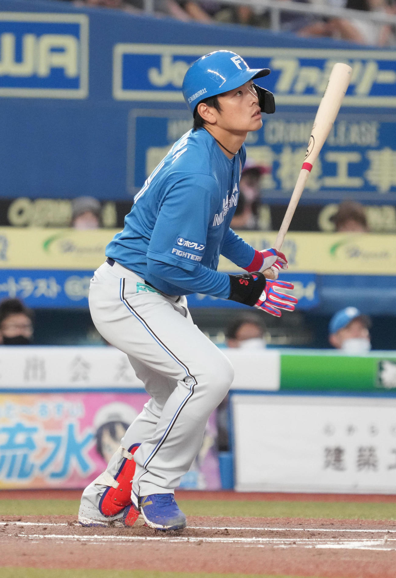 日本ハム野村佑希（2022年8月12日撮影）