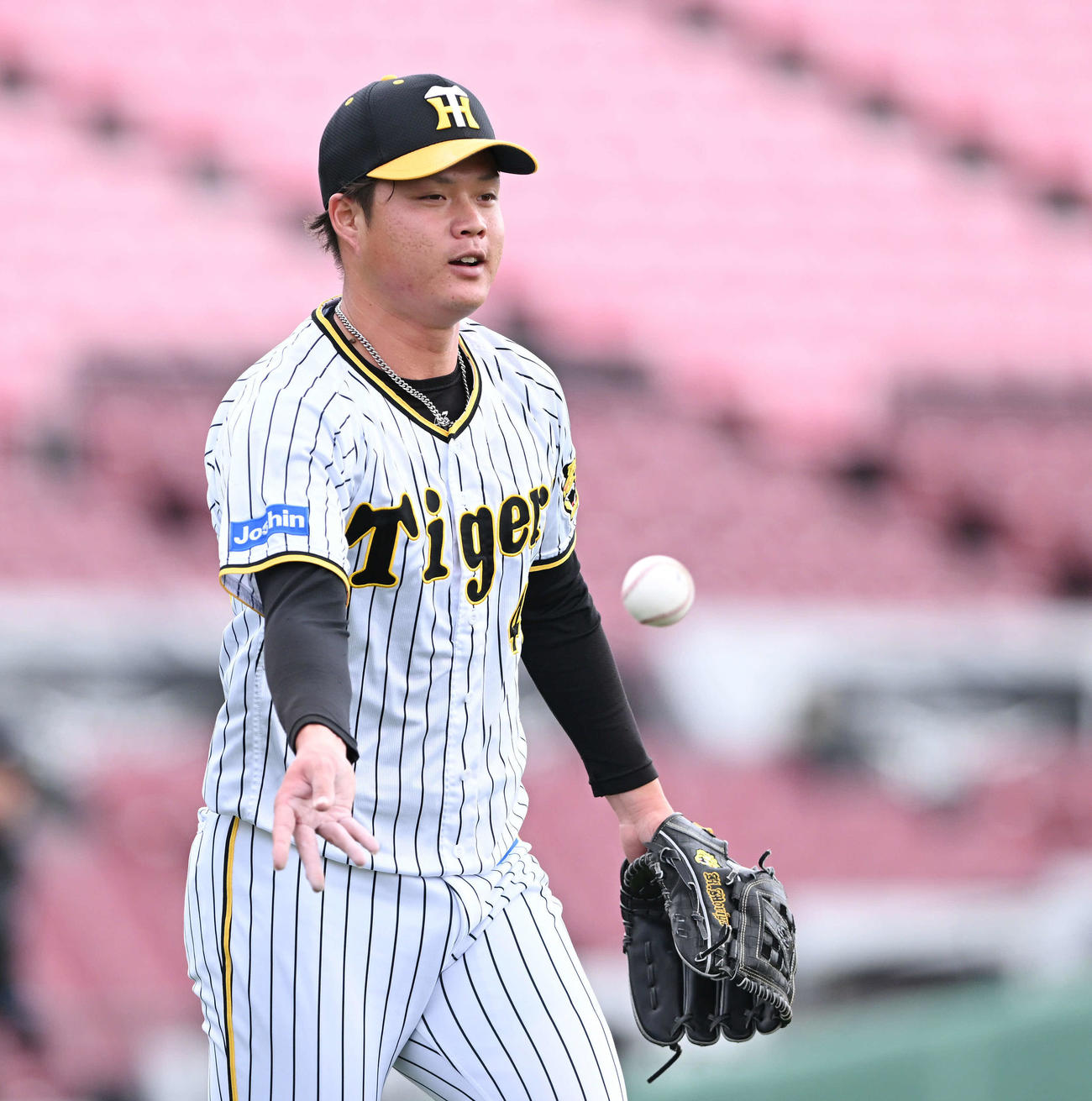 2022年11月、12球団合同トライアウト　日本ハム上野響平の投ゴロをさばく阪神守屋（撮影・滝沢徹郎）