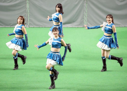 日本ハムファンフェスティバル2022で踊るファイターズガール(撮影・佐藤翔太)