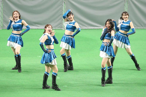 日本ハムファンフェスティバル2022で踊るファイターズガール(撮影・佐藤翔太)
