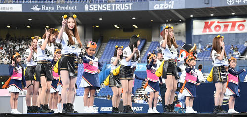 バファローズトレンド大賞2022にノミネートされた「たぬきダンス」（撮影・前岡正明）