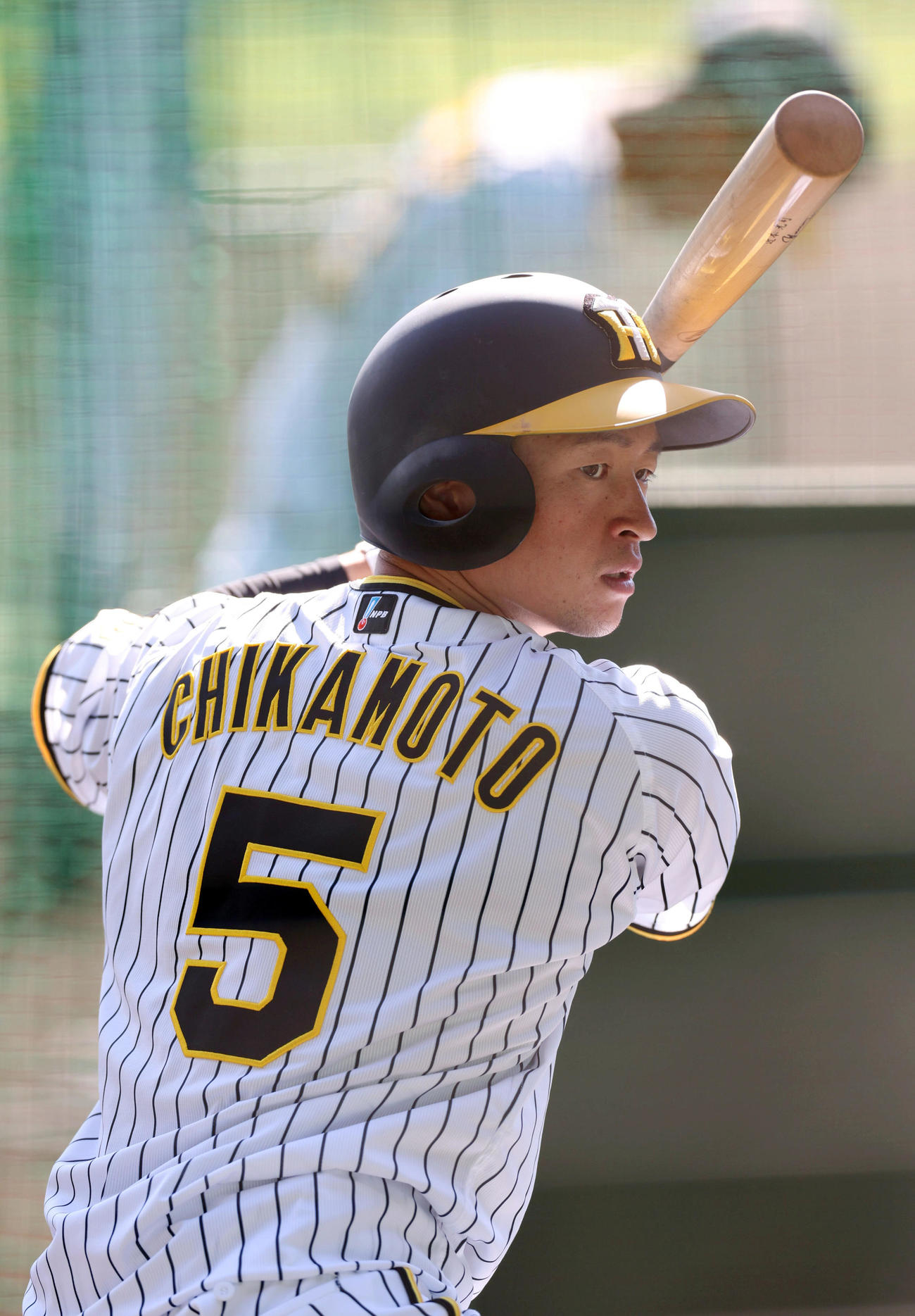 阪神近本光司（2022年10月31日撮影）