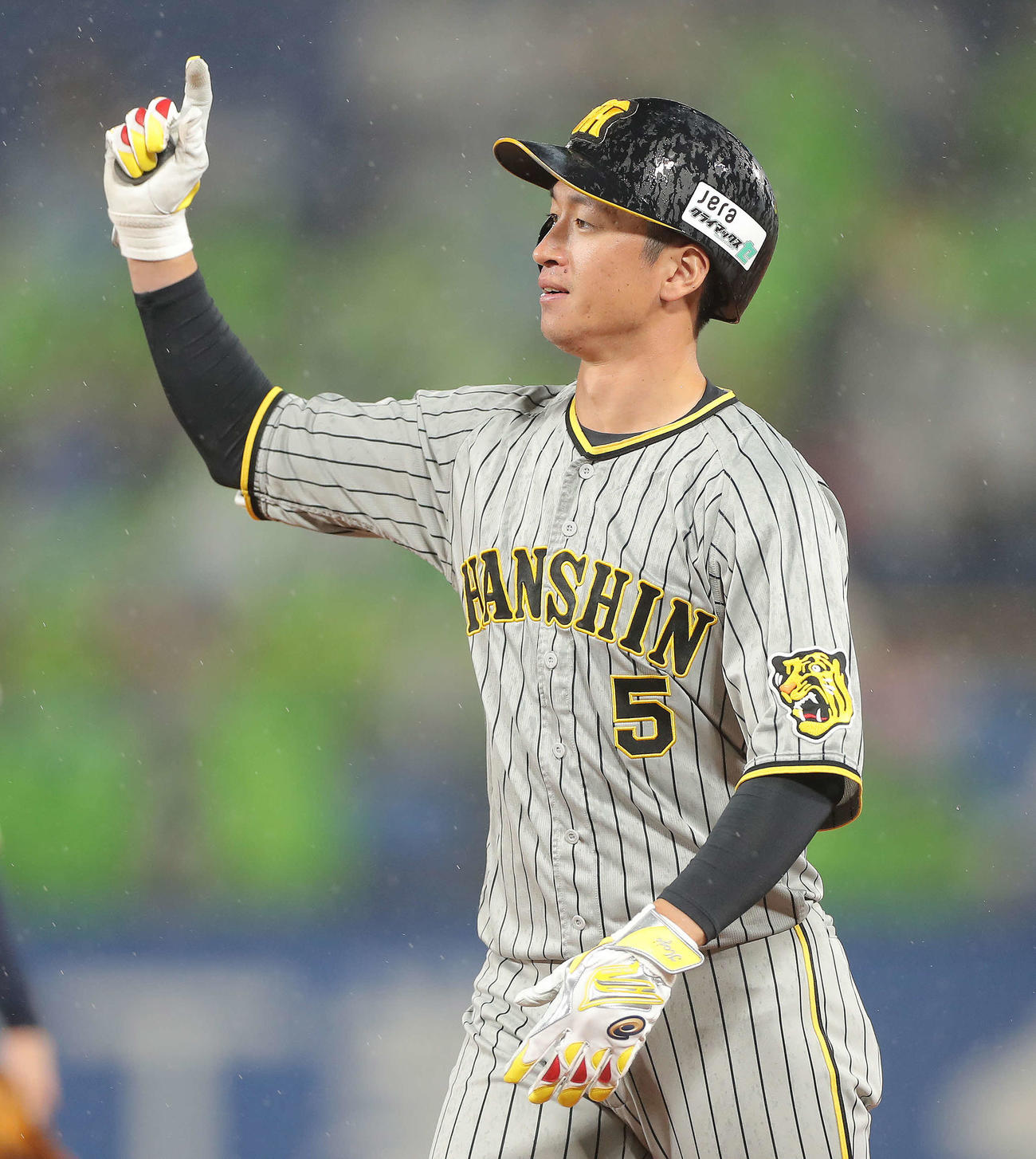 阪神近本光司（2022年10月13日撮影）