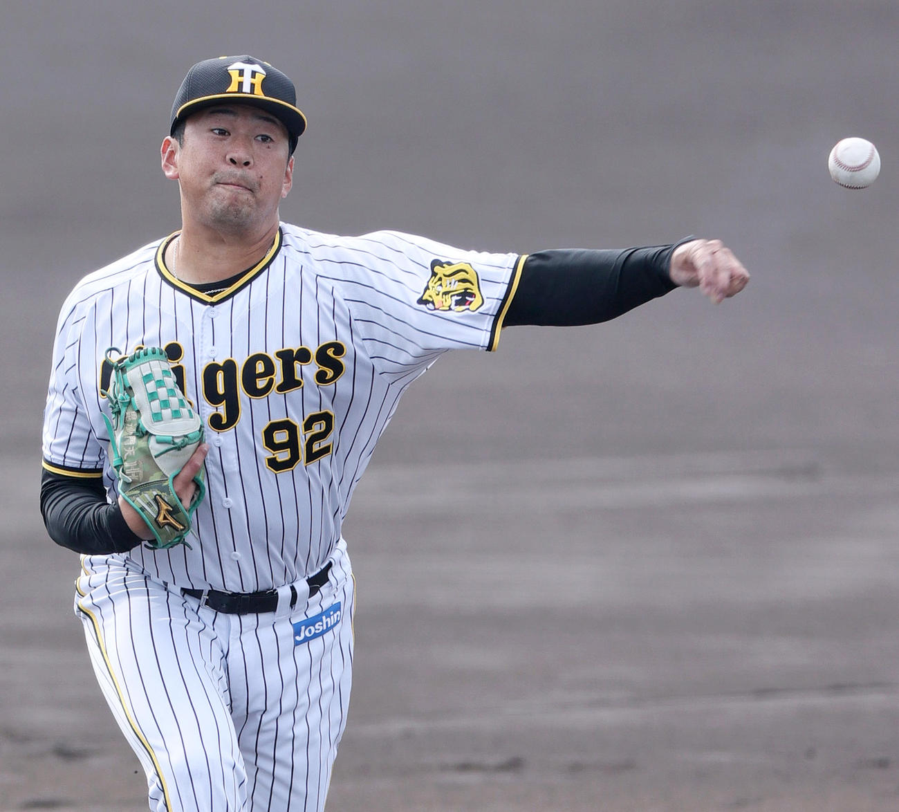 阪神渡辺雄大（2022年11月17日撮影）