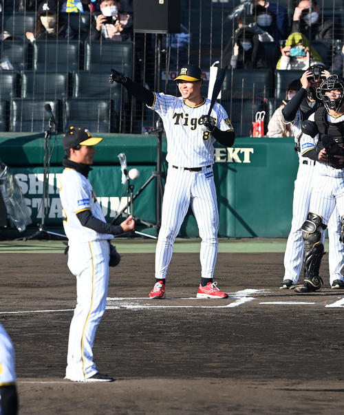 シチュエーションマッチで予告ホームランを宣言する佐藤輝（撮影・前岡正明）