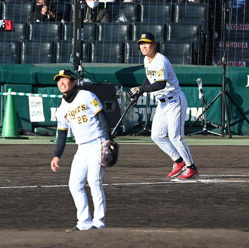 シチュエーションマッチで予告ホームランを宣言する佐藤輝は打てず（撮影・前岡正明）
