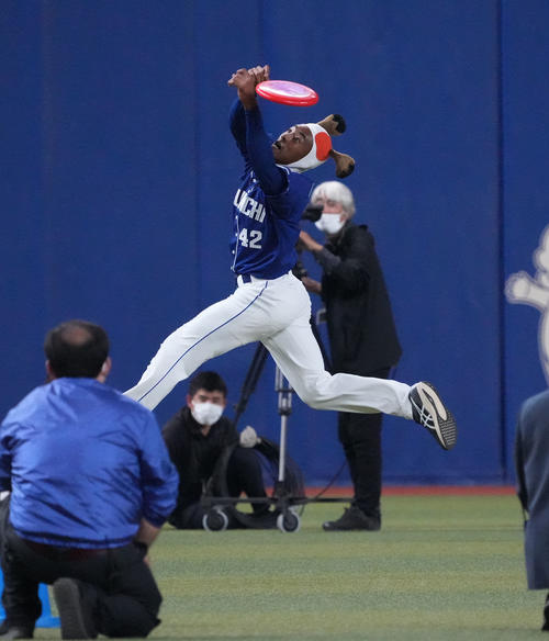 フライングディスクを追い華麗にジャンプするブライト健太（撮影・森本幸一）