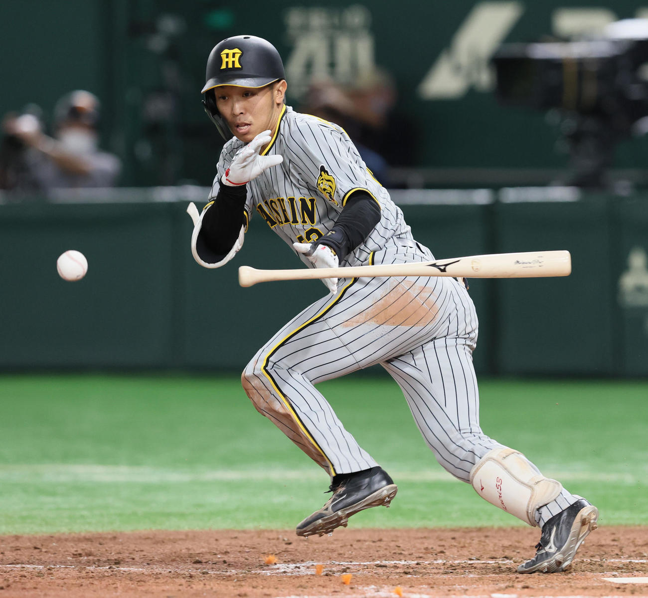 阪神島田海吏(2022年8月20日)
