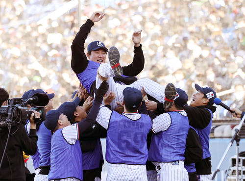 全員チャレンジで青チームが優勝し胴上げされるヤクルト奥川（撮影・鈴木正人）