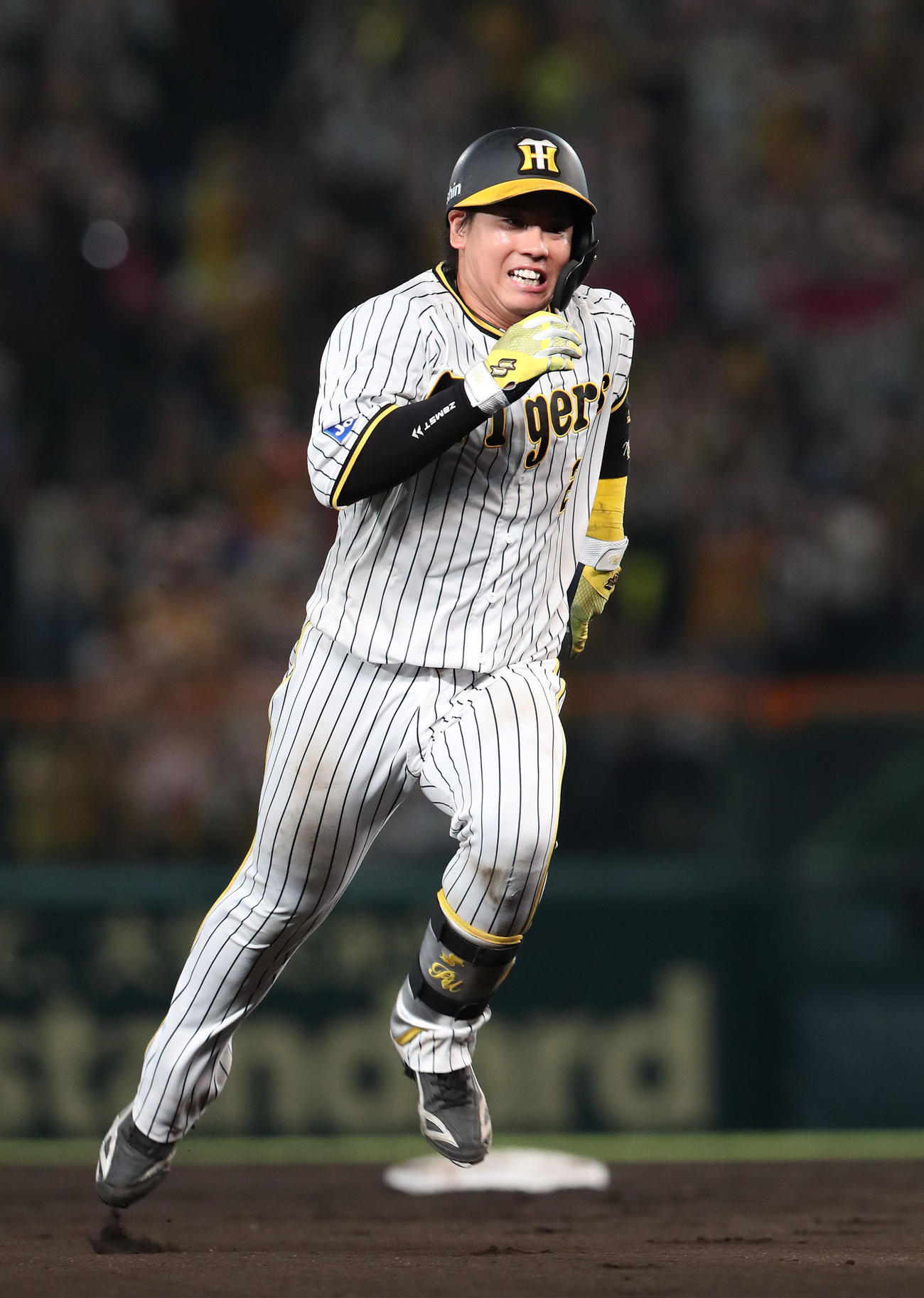 阪神梅野隆太郎（2022年9月14日撮影）