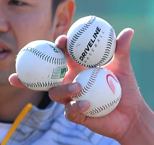 練習用ボール「ドライブライン」重さの異なる3種類のボール（20年1月11日撮影）
