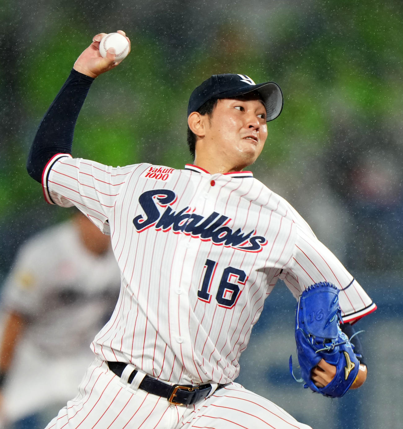 ヤクルト原樹理（2022年9月23日撮影）