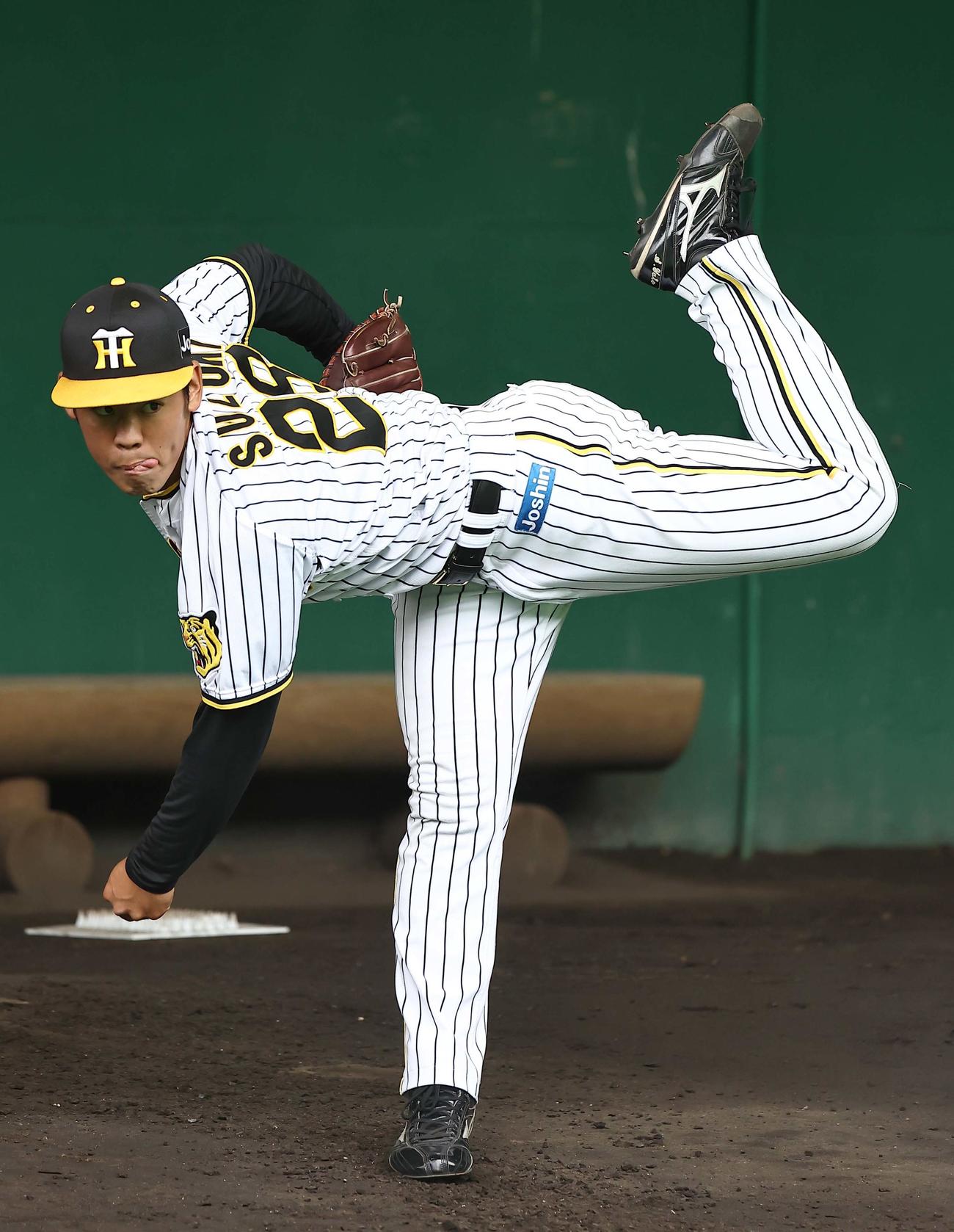 阪神鈴木勇斗（2022年11月19日撮影）