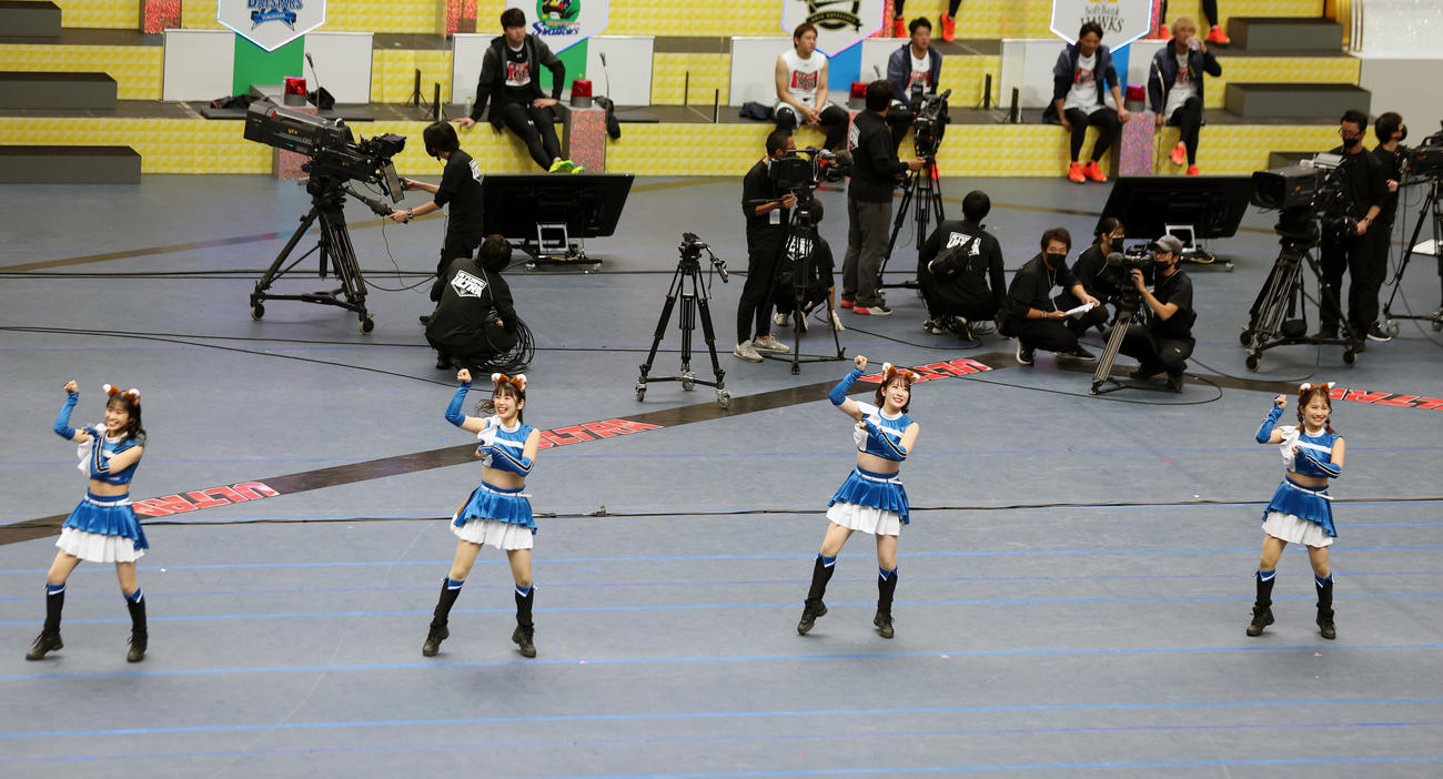 きつねダンスを披露するファイターズガールズ（撮影・前田充）