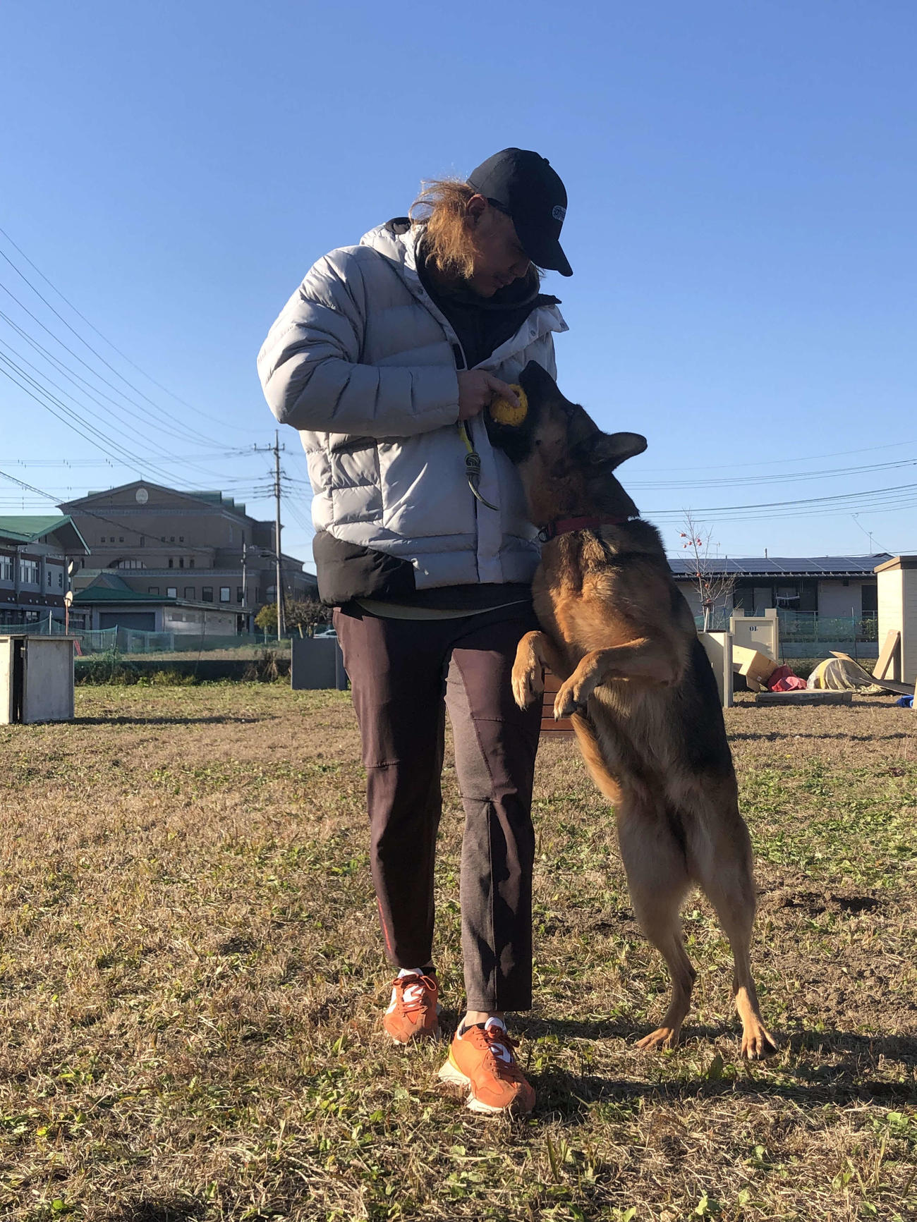 捜索救助犬の訓練を体験する西武高橋（撮影・上田悠太）