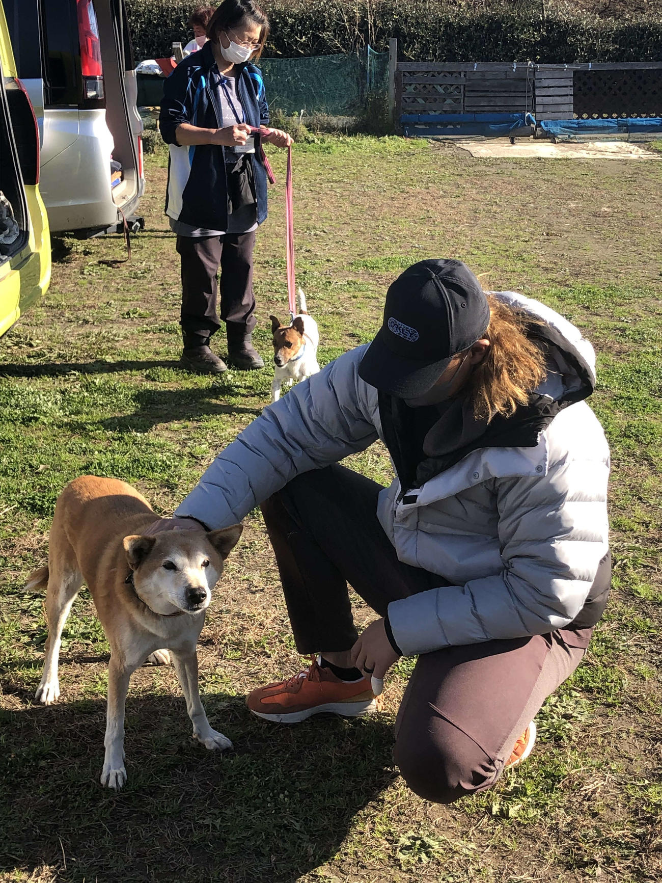 捜索救助犬をなでる西武高橋（撮影・上田悠太）