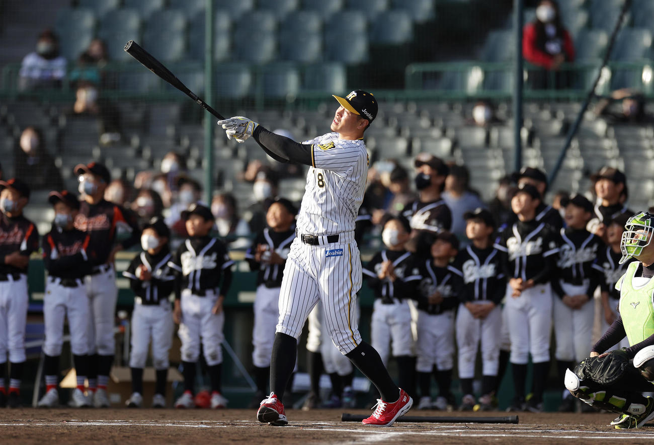 ミズノドリームカップの表彰式後、少年少女の前でホームランチャレンジに挑む阪神佐藤輝（撮影・前田充）