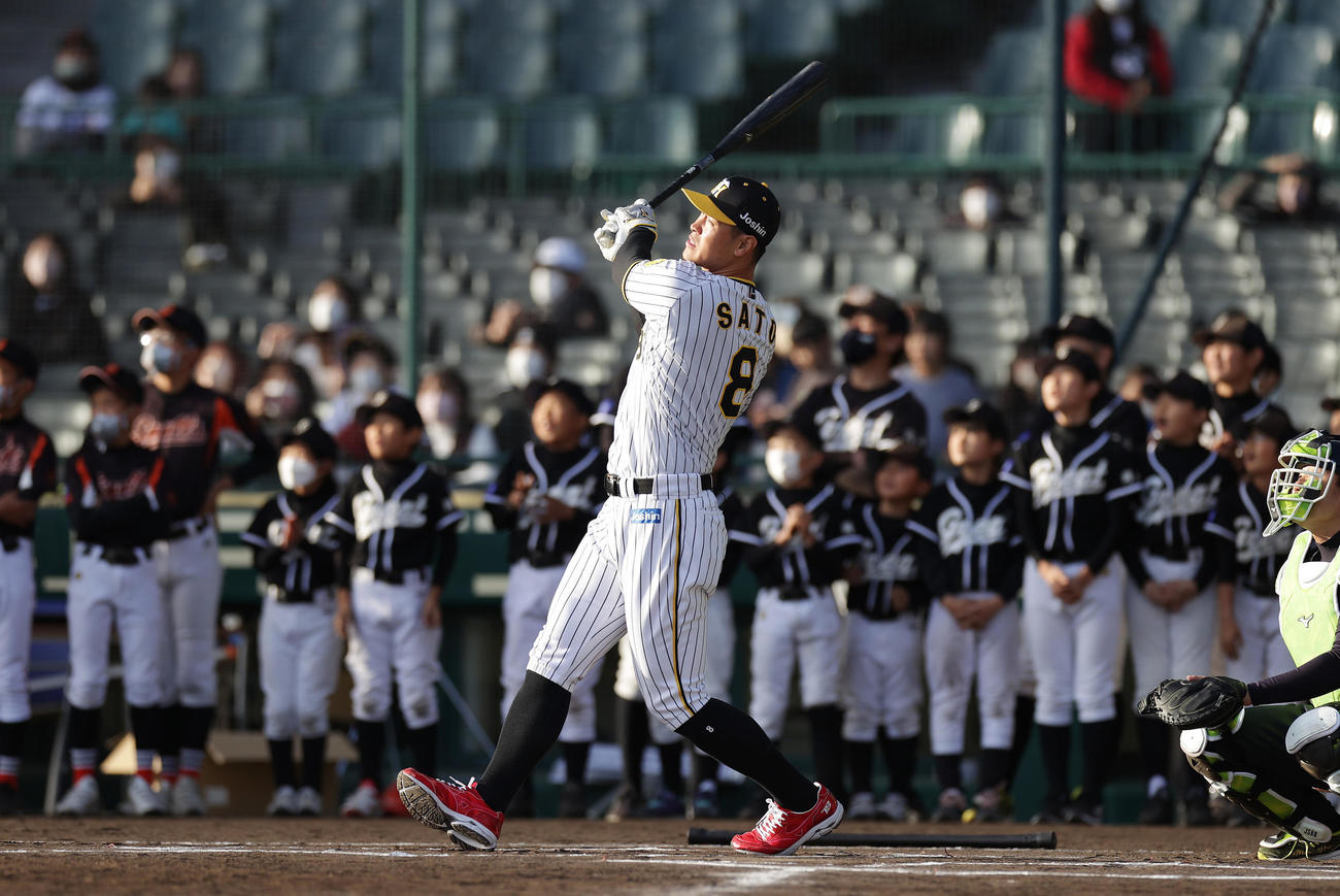 ミズノドリームカップの表彰式後、少年少女の前でホームランチャレンジに臨む阪神佐藤輝（撮影・前田充）