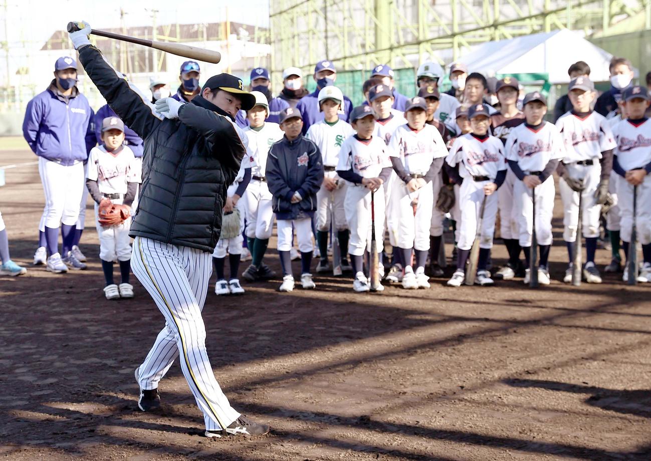 球児にトス打撃練習の手本を見せる近本（撮影・上田博志）