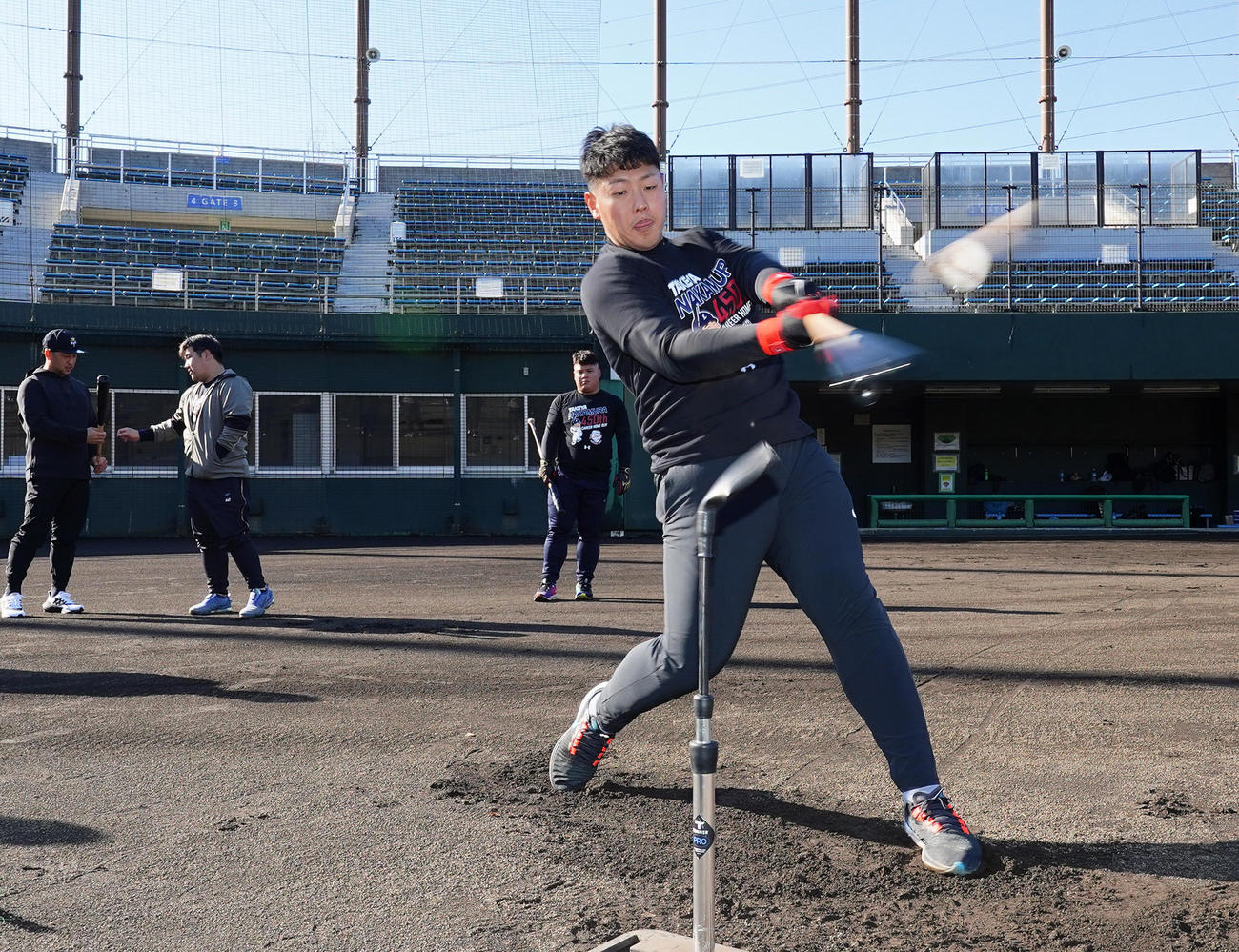 合同自主トレでティーバッティングをする巨人岡本和（撮影・菅敏）