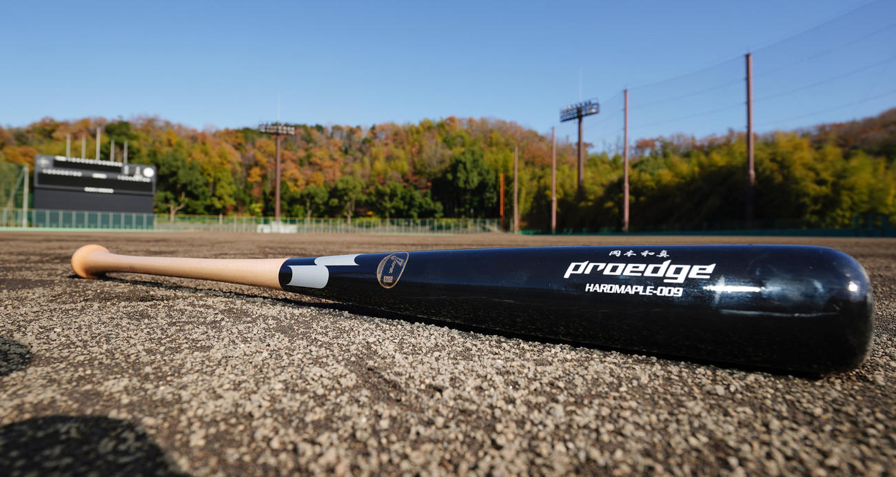 巨人岡本和が使用するオリックス森モデルのバット（撮影・菅敏）