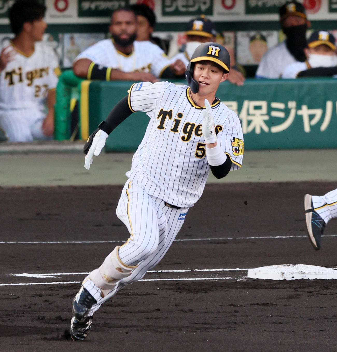 阪神中野拓夢