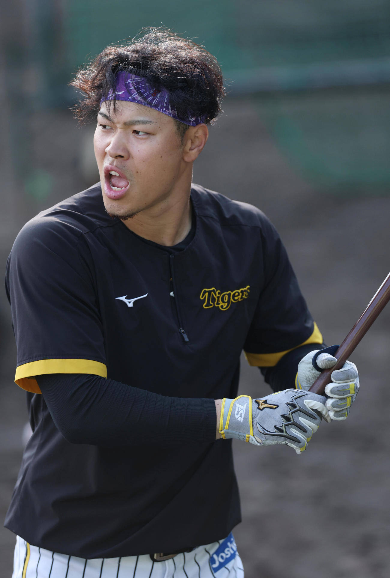 打撃練習する阪神佐藤輝明（2022年11月17日撮影）