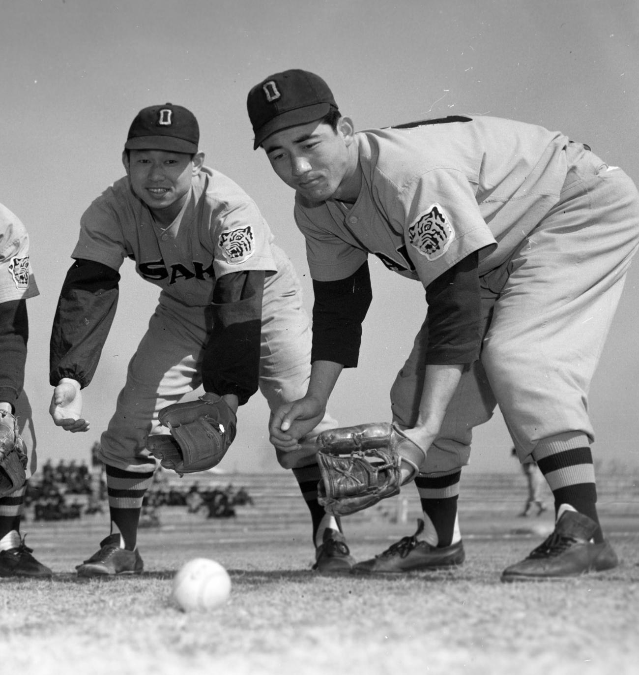 大阪タイガースの吉田義男（左）と三宅秀史（1957年撮影）