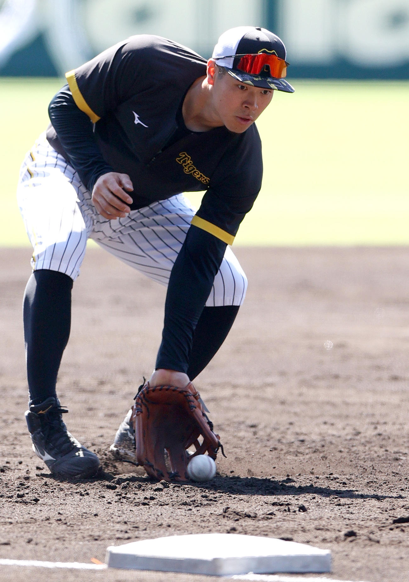 守備練習で汗を流す阪神佐藤輝明（撮影・上山淳一）