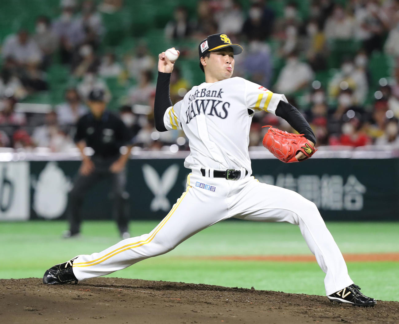 藤井皓哉（2022年9月6日撮影）