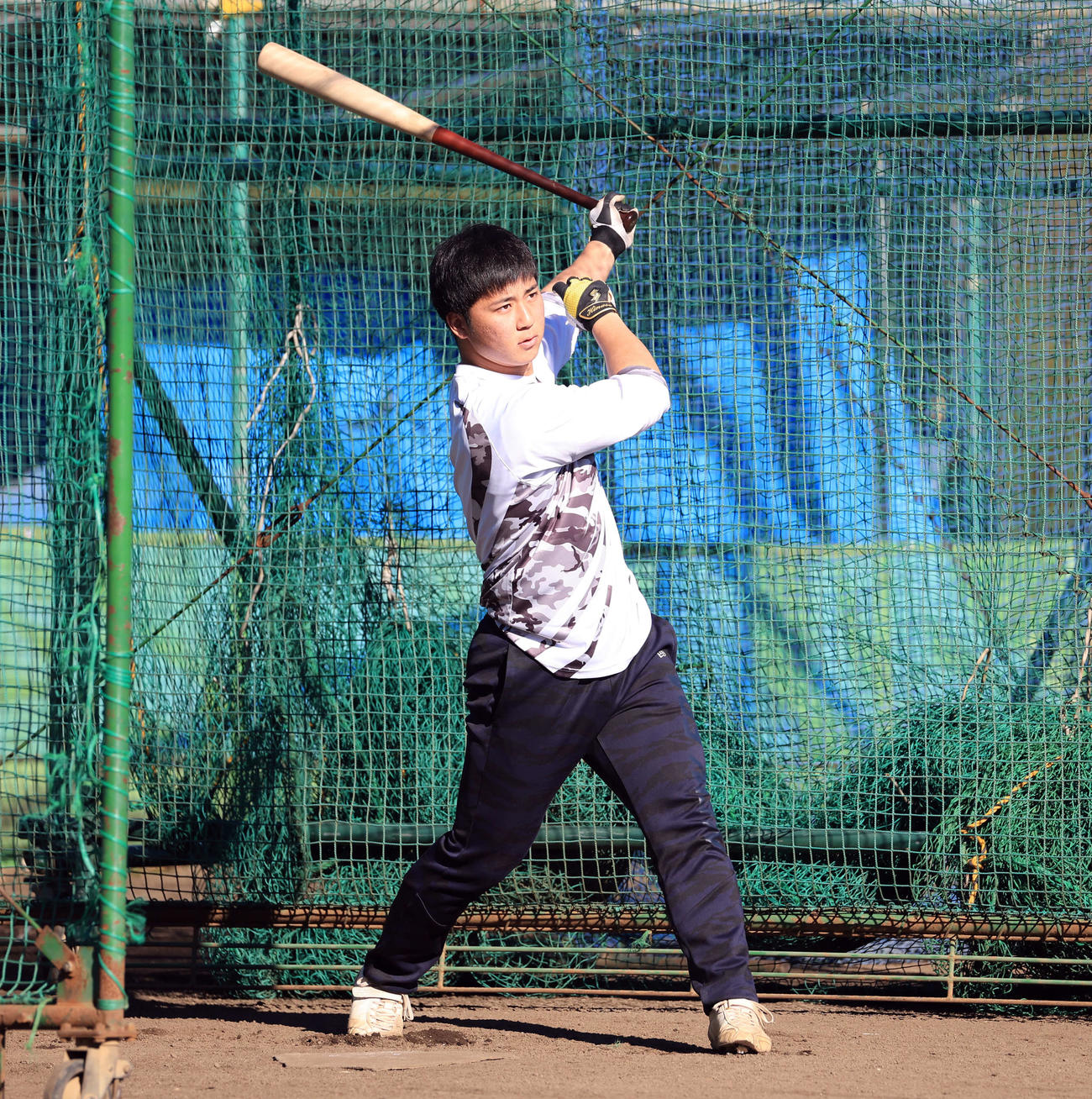 フリー打撃で力強い打撃を見せる阪神井坪（2022年12月27日撮影）