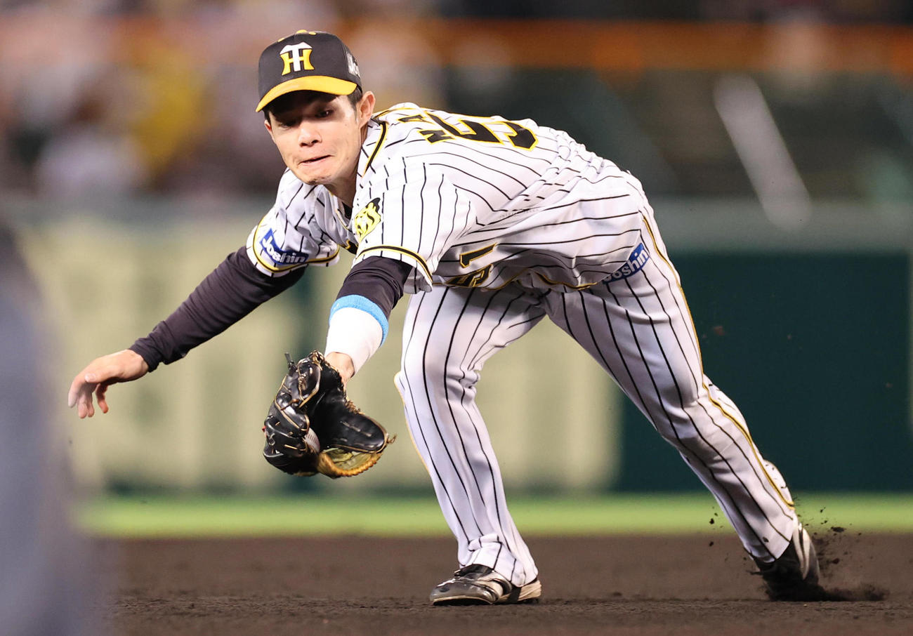阪神中野拓夢（2021年9月9日撮影）