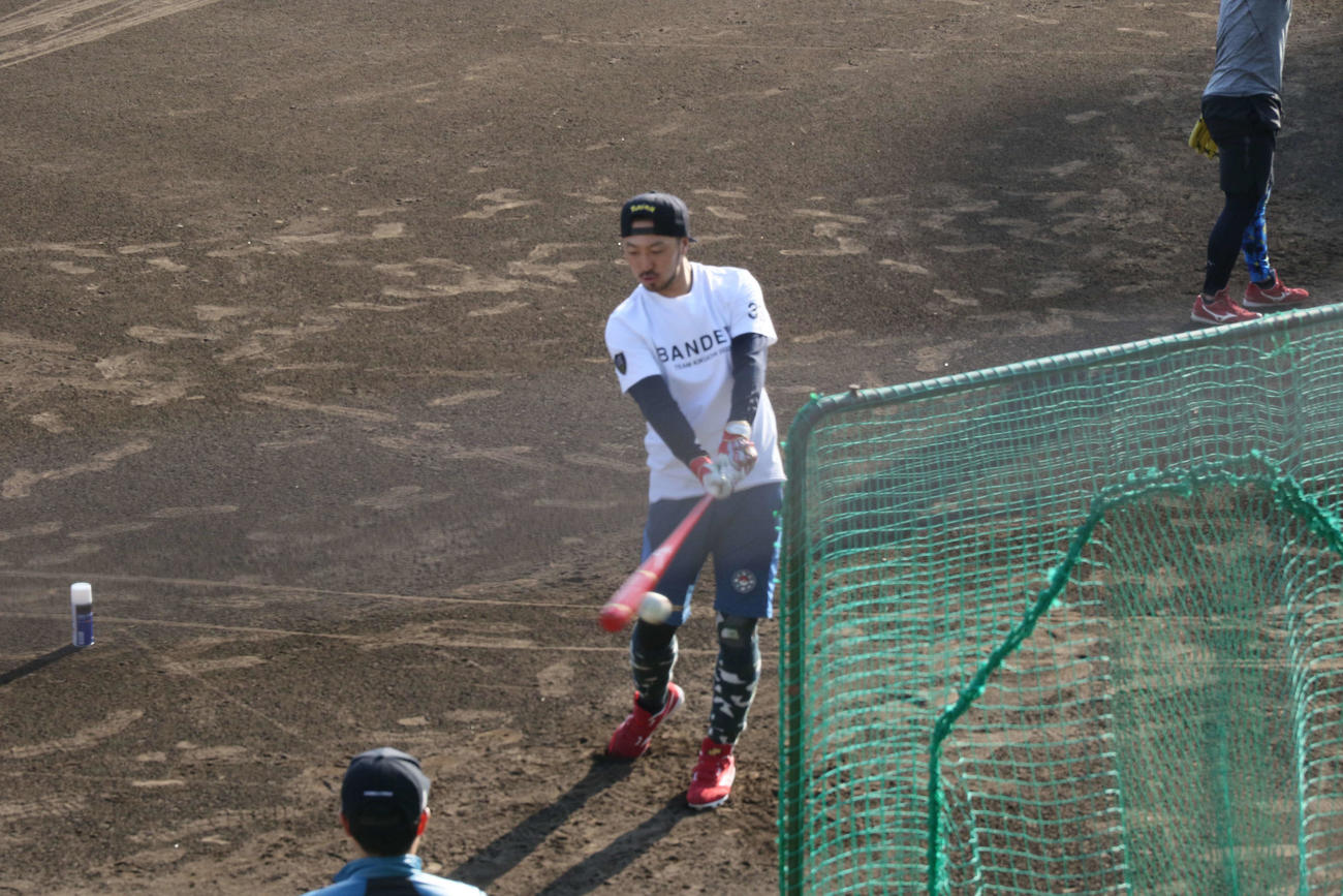 広島菊池は静岡庵原球場で自主トレを公開（撮影・佐井陽介）