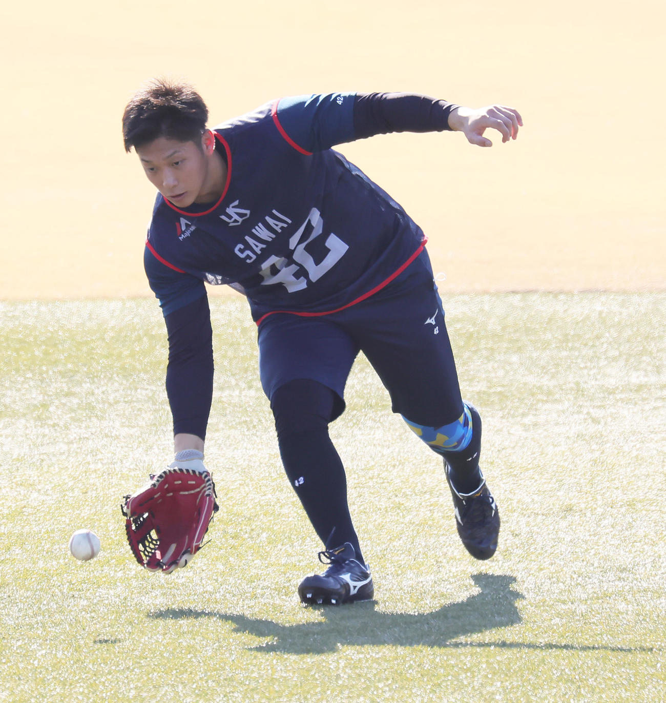 ヤクルト新人合同自主トレでノックを受けるドラフト3位沢井（撮影・足立雅史）