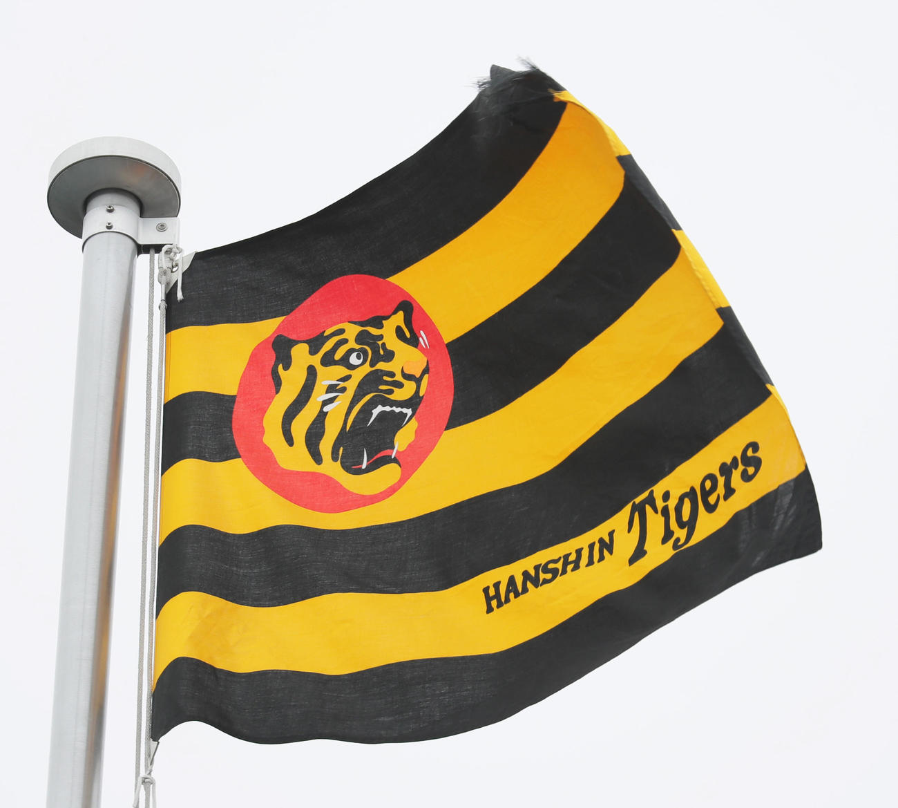 阪神球団旗（2021年6月18日撮影）