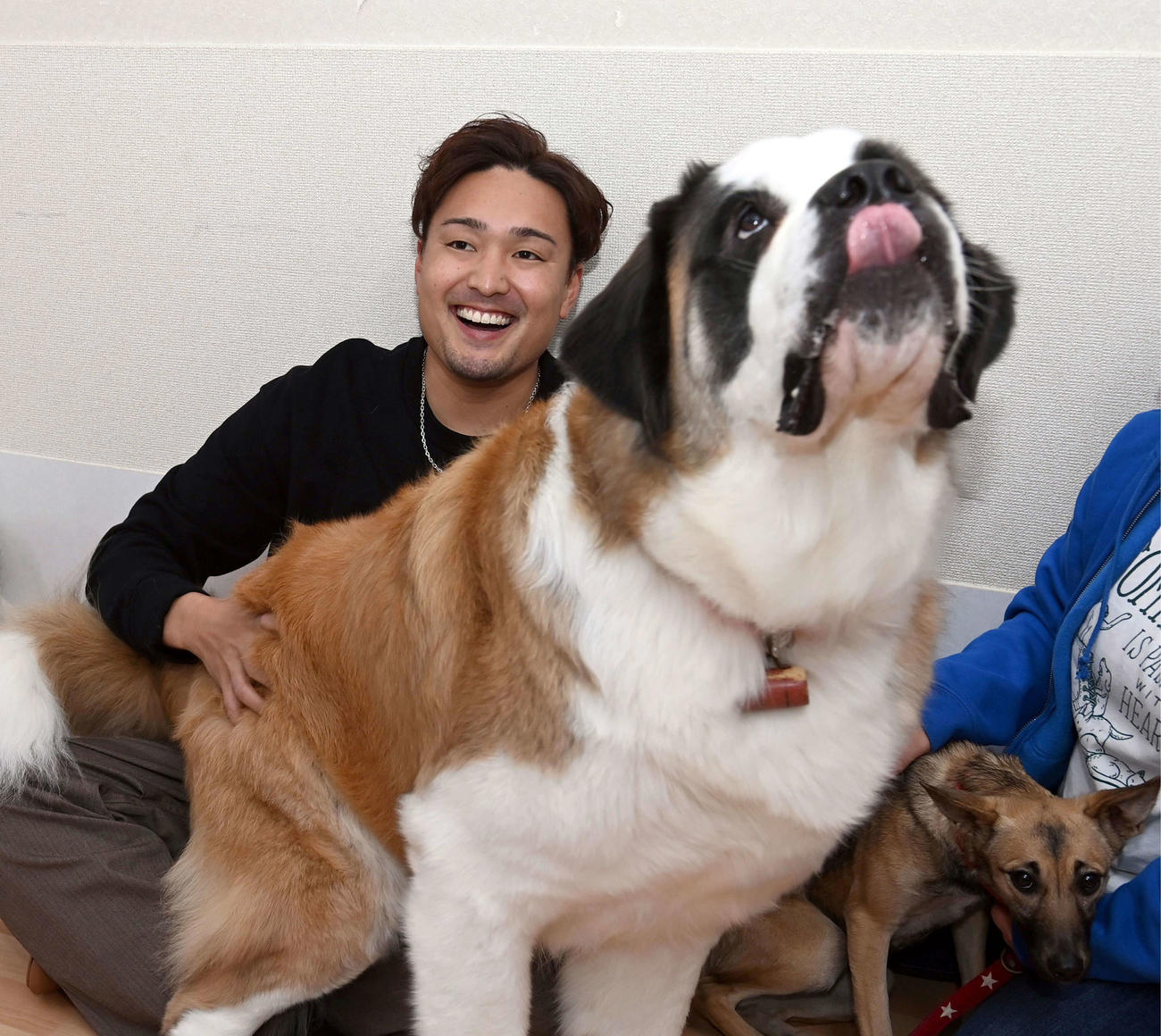 犬とふれ合い笑顔を見せる阪神秋山（代表撮影）