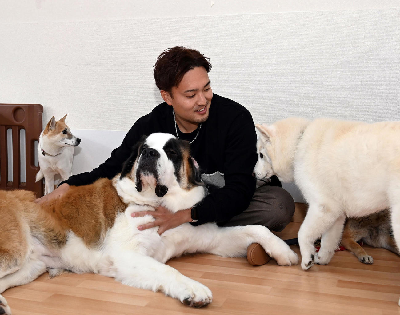 犬とふれ合い笑顔を見せる阪神秋山（代表撮影）