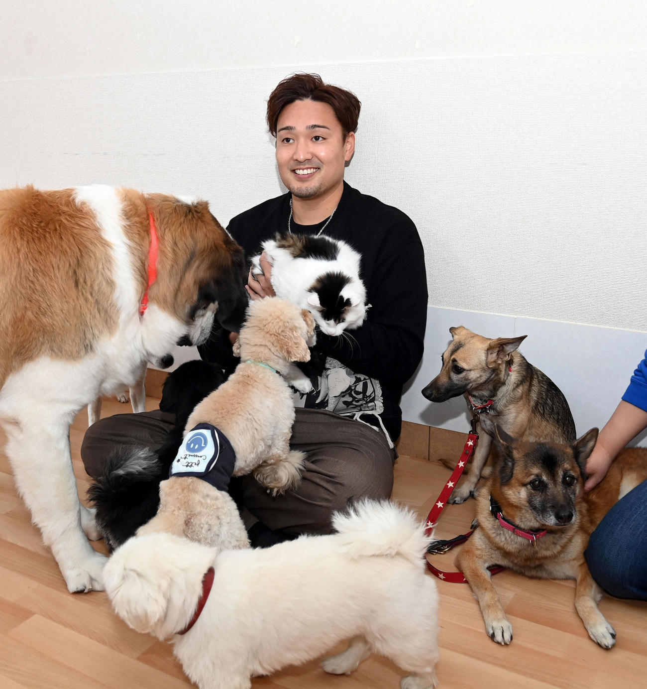 犬とふれ合い笑顔を見せる阪神秋山（代表撮影）