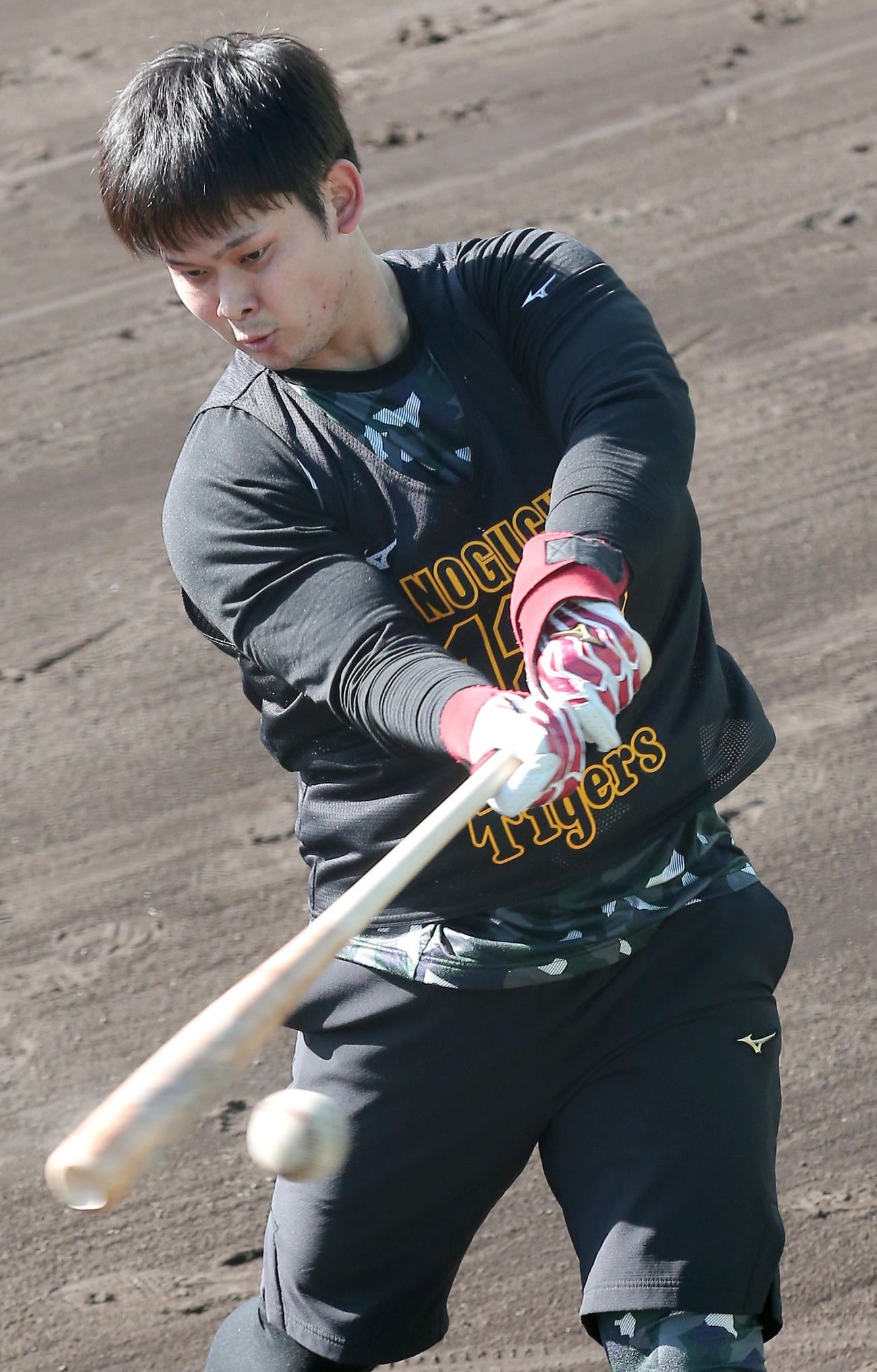 新人合同練習でトス打撃する野口（撮影・上山淳一）