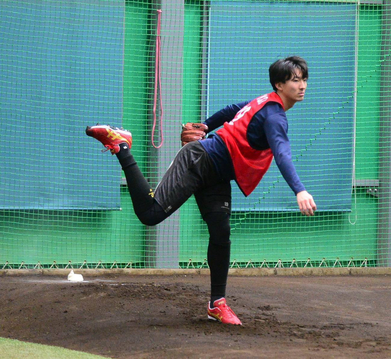 新人合同自主トレでブルペン投球を行う楽天荘司（撮影・佐藤究）