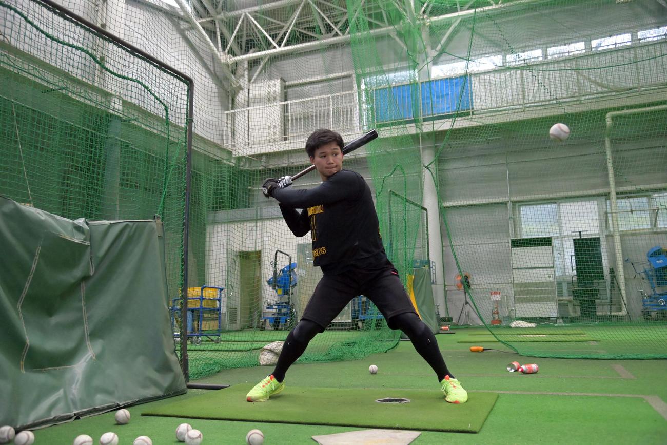 トス打撃をする森下翔太