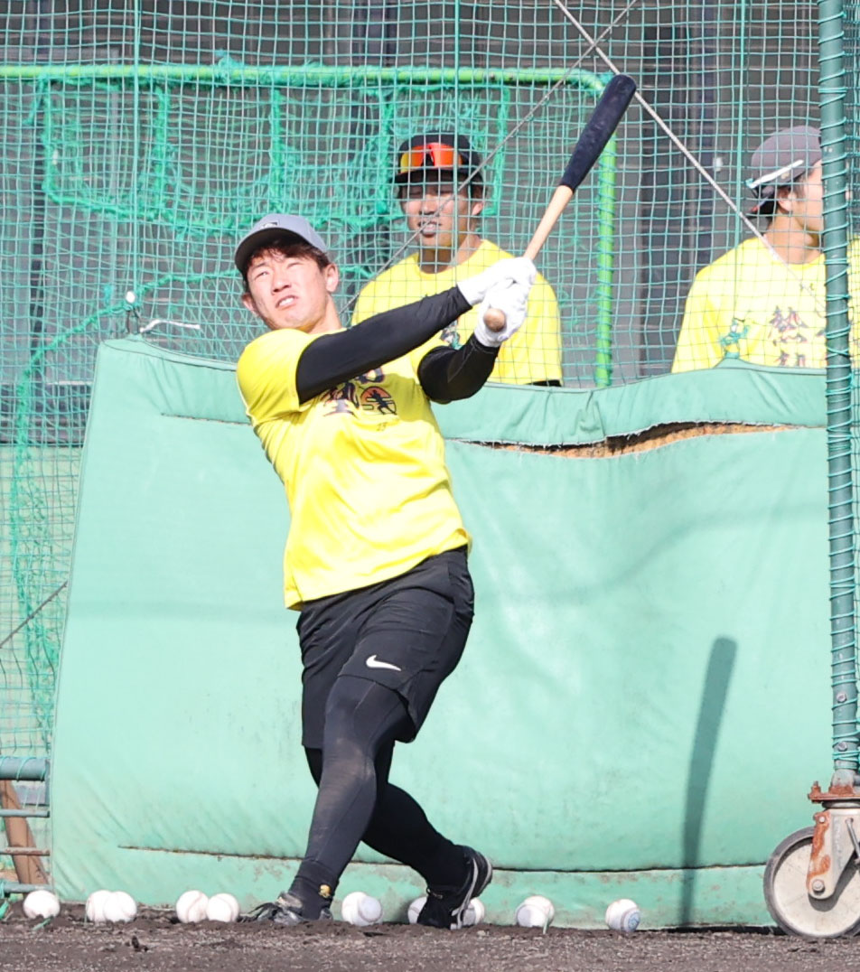 打撃練習で汗を流す増田珠（撮影・梅根麻紀）