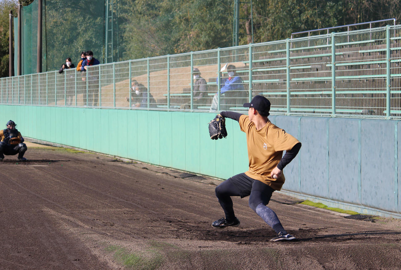 ブルペンで投球練習する巨人井上（撮影・久保賢吾）