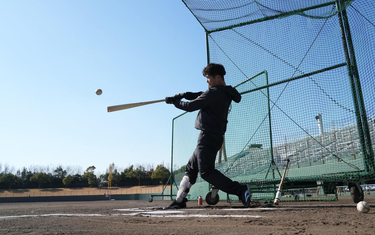 フリー打撃練習をする中野（撮影・森本幸一）