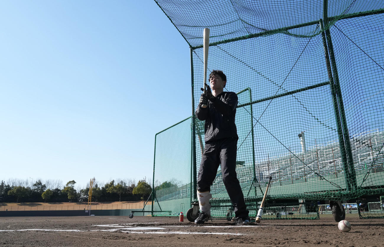 フリー打撃練習をする中野（撮影・森本幸一）